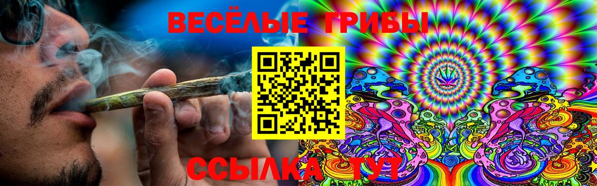 хочу наркоту  Вход с VPN  Самара  Галлюциногенные грибы прущие грибы 