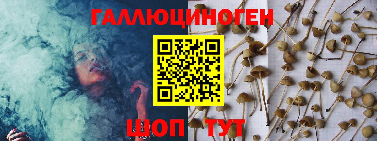 Галлюциногенные грибы Psilocybe Самара
