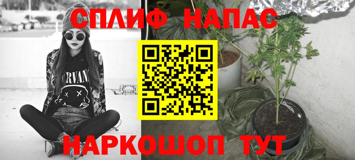 Бошки марихуана индика  Вход с VPN  Самара  МАРИХУАНА White Widow  Марихуана AK-47 